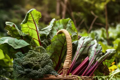 A serene, eco-friendly garden scene with a basket filled with freshly harvested iron-rich vegetables like Swiss chard, kale, and beets.