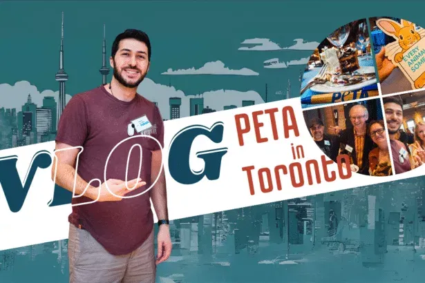 Thumbnail image for the PETA event vlog featuring Steven Muratcea and highlights from the event.